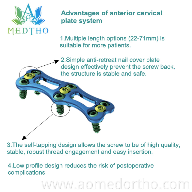 spinal fixation set
